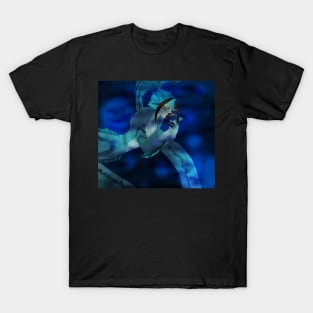 The Deep with Floyd T-Shirt